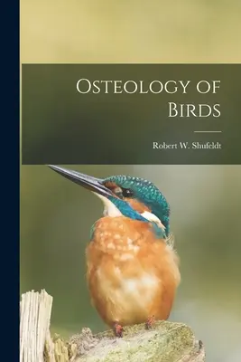 A madarak csontrendszere - Osteology of Birds