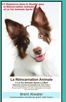 La Reincarnation Animales et La Vie Animale Apres La Mort: Reponses a toutes les Questions de votre Coeur!