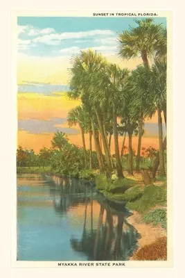 Vintage Journal naplemente a trópusi Florida, Myakka River State Park - Vintage Journal Sunset in Tropical Florida, Myakka River State Park