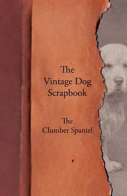 A Vintage Dog Scrapbook - A Clumber spániel - The Vintage Dog Scrapbook - The Clumber Spaniel