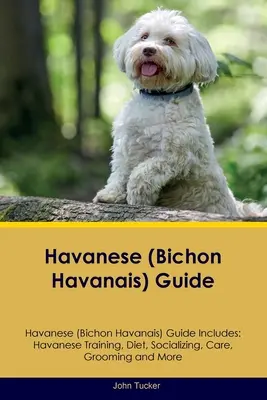 Havanese (Bichon Havanais) útmutató A Havanese útmutató tartalmazza: Havanese képzés, táplálkozás, szocializálás, gondozás, ápolás és még sok minden más - Havanese (Bichon Havanais) Guide Havanese Guide Includes: Havanese Training, Diet, Socializing, Care, Grooming, and More