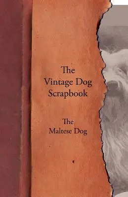 A Vintage Dog scrapbook - A máltai - The Vintage Dog Scrapbook - The Maltese