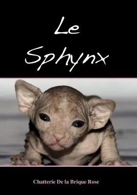 Le sphynx