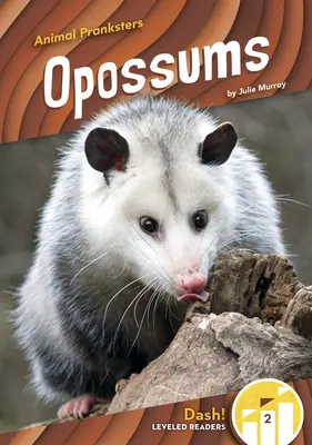 Oposszumok - Opossums