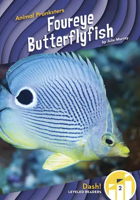 Hosszúszemű pillangóhal - Foureye Butterflyfish