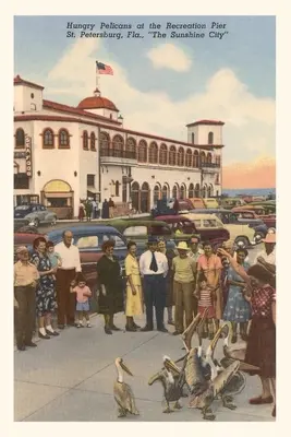 Vintage Journal Pelikánok, St. Petersburg, Florida - Vintage Journal Pelicans, St. Petersburg, Florida