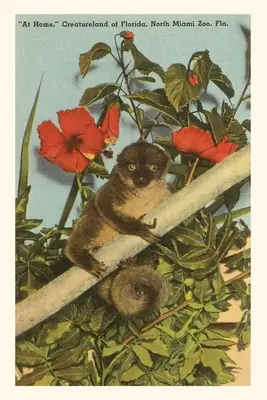 Vintage Journal Lassú Loris, Hibiszkusz, Florida - Vintage Journal Slow Loris, Hibiscus, Florida