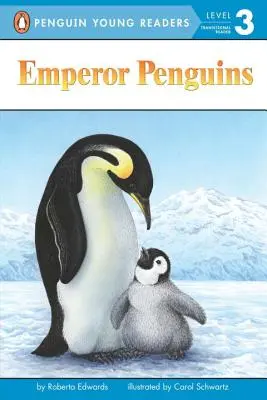 Császárpingvinek - Emperor Penguins