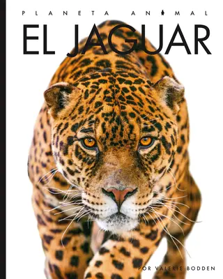 El Jaguár - El Jaguar