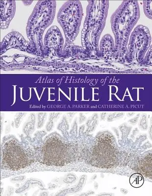 A fiatalkorú patkány szövettani atlasza - Atlas of Histology of the Juvenile Rat