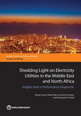 A közel-keleti és észak-afrikai villamosenergia-szolgáltatók megvilágítása: a teljesítménydiagnosztika tanulságai - Shedding Light on Electricity Utilities in the Middle East and North Africa: Insights from a Performance Diagnostic