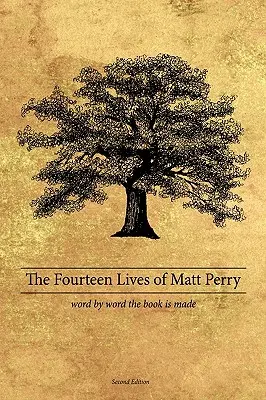 Matt Perry tizennégy élete - The Fourteen Lives of Matt Perry