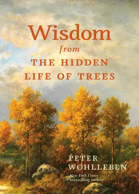 Bölcsesség a fák rejtett életéből - Wisdom from the Hidden Life of Trees