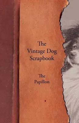 A Vintage Dog Scrapbook - A Papillon - The Vintage Dog Scrapbook - The Papillon