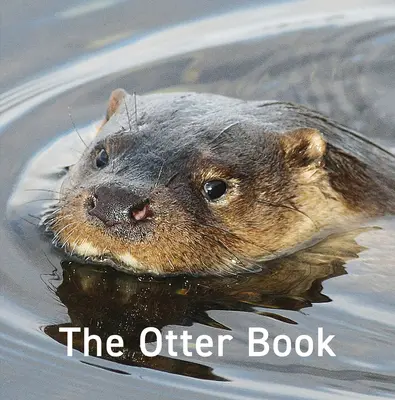 Vidra könyv - Otter Book