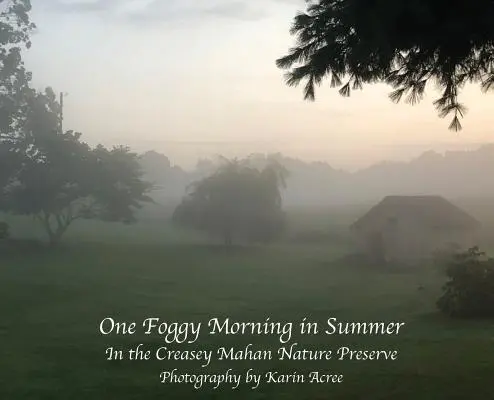 Egy ködös nyári reggel: A Creasey Mahan Természetvédelmi Területen - One Foggy Morning in Summer: In the Creasey Mahan Nature Preserve