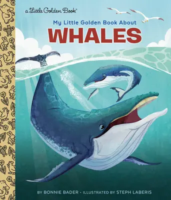 Az én kis aranykönyvem a bálnákról - My Little Golden Book about Whales