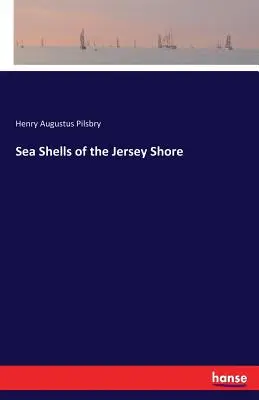 A Jersey-part kagylóhéjai - Sea Shells of the Jersey Shore