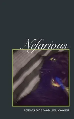 Nefarious: Versek - Nefarious: Poems