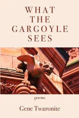 Amit a vízköpő lát - What the Gargoyle Sees