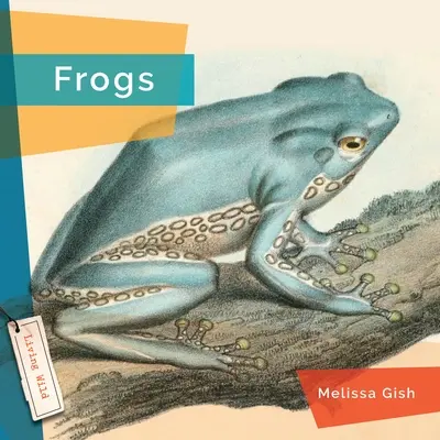 Békák - Frogs