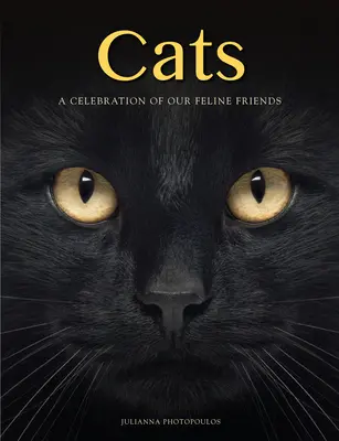 Macskák: Macskabarátaink ünnepe - Cats: A Celebration of Our Feline Friends