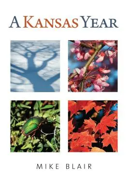 Egy kansasi év - A Kansas Year