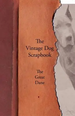 A Vintage Dog Scrapbook - A dán dog - The Vintage Dog Scrapbook - The Great Dane