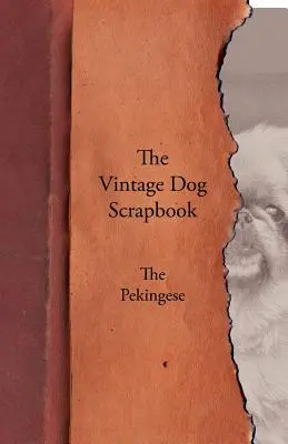 A Vintage Dog Scrapbook - A pekingi kutya - The Vintage Dog Scrapbook - The Pekingese