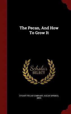 A pekándió, és hogyan kell termeszteni - The Pecan, And How To Grow It