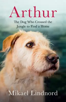 Arthur: A kutya, aki átkelt a dzsungelen, hogy otthont találjon magának. - Arthur: The Dog Who Crossed the Jungle to Find a Home