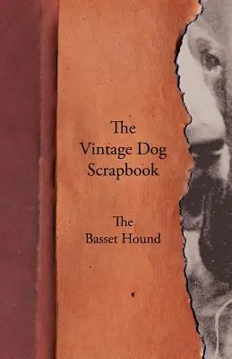 A Vintage Dog Scrapbook - A Basset Hound - The Vintage Dog Scrapbook - The Basset Hound