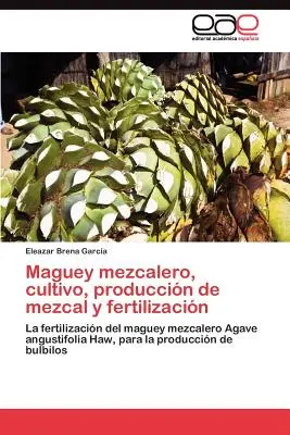 Maguey mezcalero, cultivo, produccin de mezcal és fertilizacin - Maguey mezcalero, cultivo, produccin de mezcal y fertilizacin