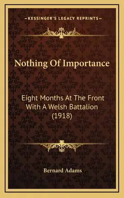 Semmi fontos: Nyolc hónap a fronton egy walesi zászlóaljjal (1918) - Nothing Of Importance: Eight Months At The Front With A Welsh Battalion (1918)