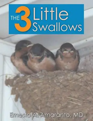 A 3 kis fecske - The 3 Little Swallows