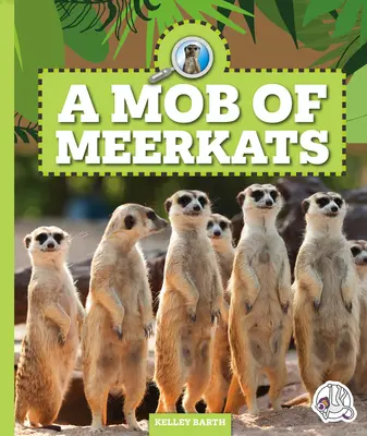 Egy csapat szurikáta - A Mob of Meerkats