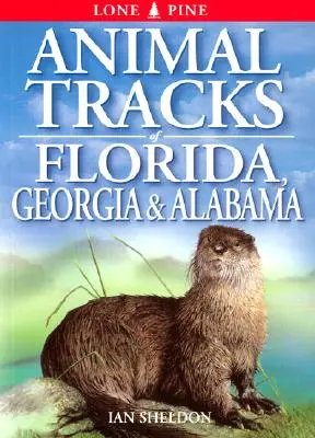 Florida, Georgia, Alabama állatnyomai - Animal Tracks of Florida, Georgia, Alabama