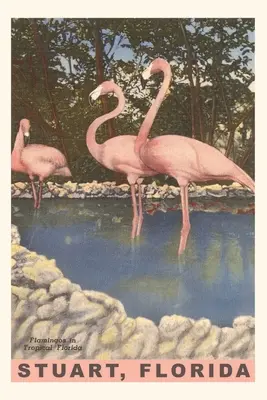 Vintage Journal Flamingók, Stuart, Florida - Vintage Journal Flamingos, Stuart, Florida