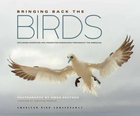 A madarak visszahozása: A vándorlás felfedezése és a madárvilág megőrzése az egész amerikai kontinensen - Bringing Back the Birds: Exploring Migration and Preserving Birdscapes Throughout the Americas