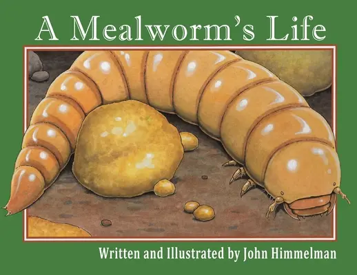 Egy zabigiliszta élete - A Mealworm's Life