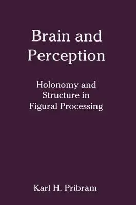 Agy és érzékelés: Holonómia és struktúra a figurális feldolgozásban - Brain and Perception: Holonomy and Structure in Figural Processing