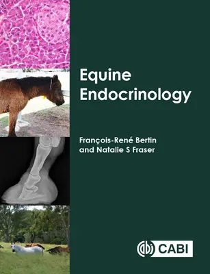 Lovak endokrinológiája - Equine Endocrinology