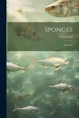 Szivacsok; Poriferae - Sponges; Poriferae