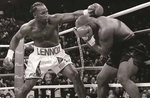 A bokszolási nyilvántartás: A Nemzetközi Boksz Hírességek Csarnokának hivatalos nyilvántartási könyve - The Boxing Register: International Boxing Hall of Fame Official Record Book