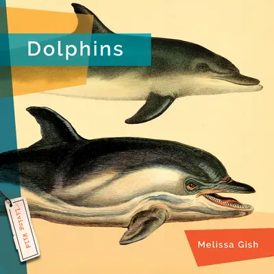 Delfinek - Dolphins