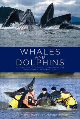 Bálnák és delfinek: Megismerés, kultúra, természetvédelem és emberi észlelés. - Whales and Dolphins: Cognition, Culture, Conservation and Human Perceptions