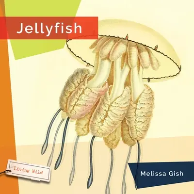 Medúza - Jellyfish