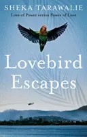 Lovebird Escapes - A hatalom szeretete kontra a szeretet hatalma - Lovebird Escapes - Love of Power versus Power of Love