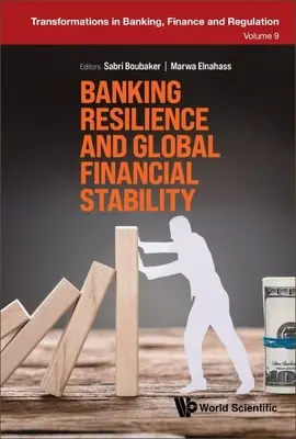 A banki rugalmasság és a globális pénzügyi stabilitás - Banking Resilience and Global Financial Stability