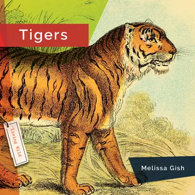 Tigrisek - Tigers